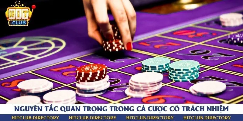 2 nguyên tắc phải tuân thủ khi cá cược online