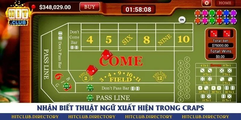Cách phân biệt thuật ngữ cơ bản trong craps online